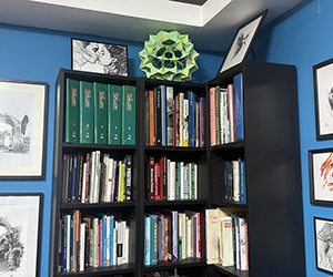 The Green Star of the Library Polyhedra Origami